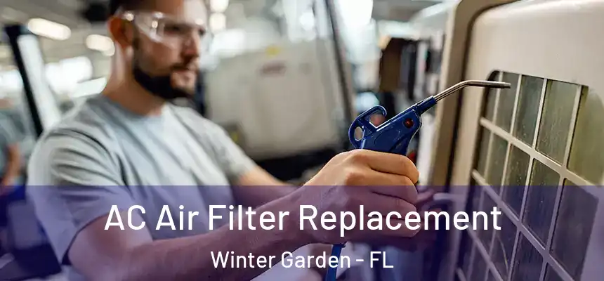  AC Air Filter Replacement Winter Garden - FL