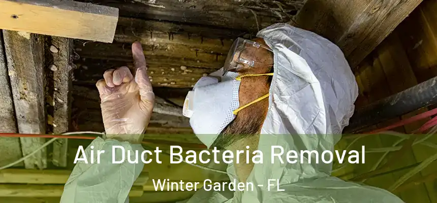  Air Duct Bacteria Removal Winter Garden - FL