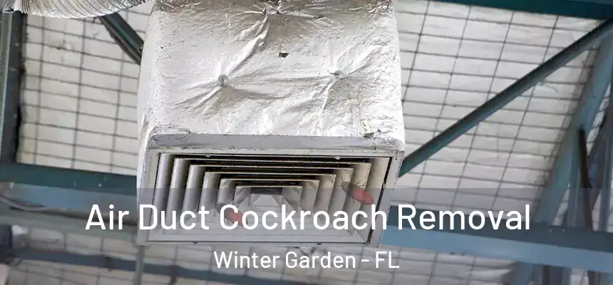  Air Duct Cockroach Removal Winter Garden - FL