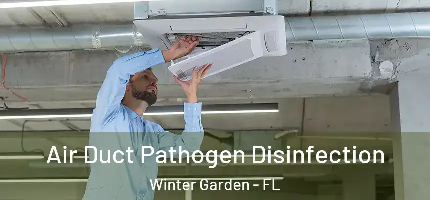  Air Duct Pathogen Disinfection Winter Garden - FL