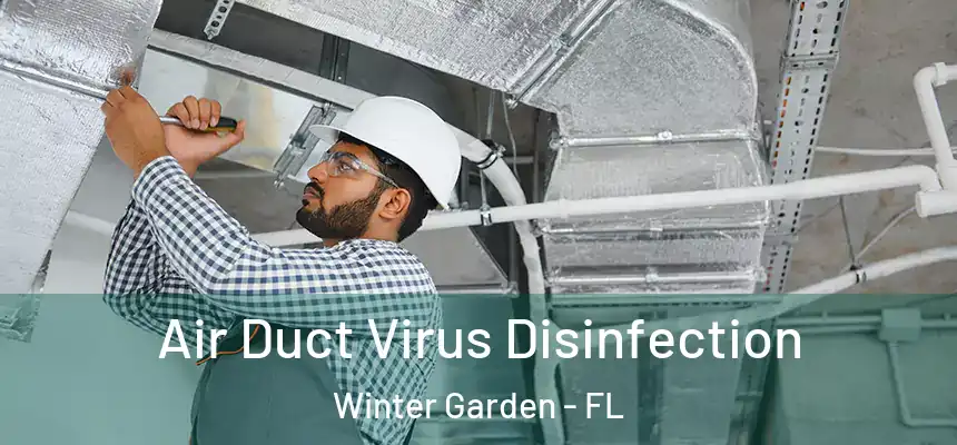  Air Duct Virus Disinfection Winter Garden - FL