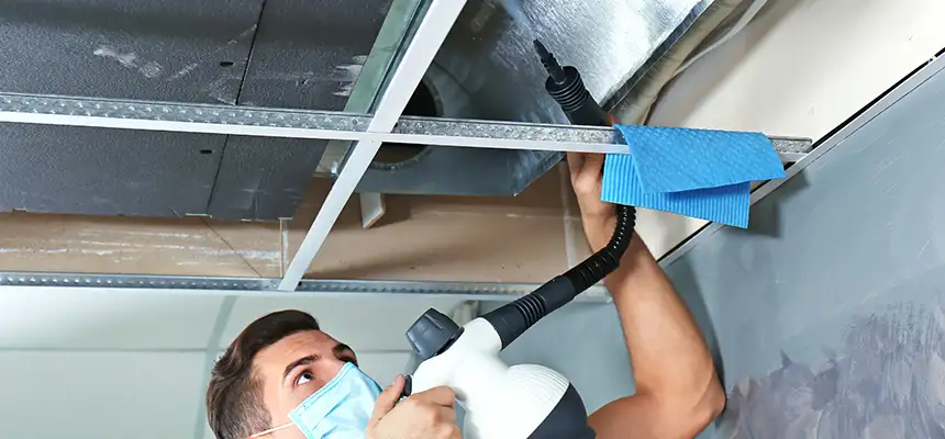 Our Air Duct Rodent Removal Services in Winter Garden, FL