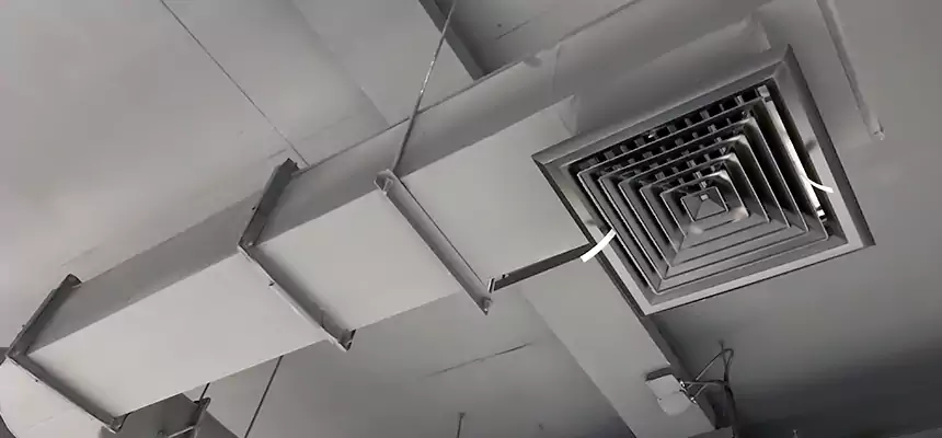 Our Pest Removal From Ducts Services in Winter Garden, FL