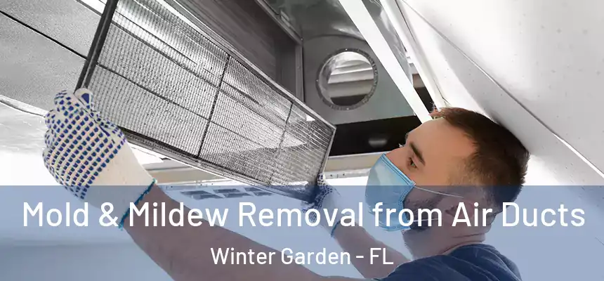 Mold & Mildew Removal from Air Ducts Winter Garden - FL