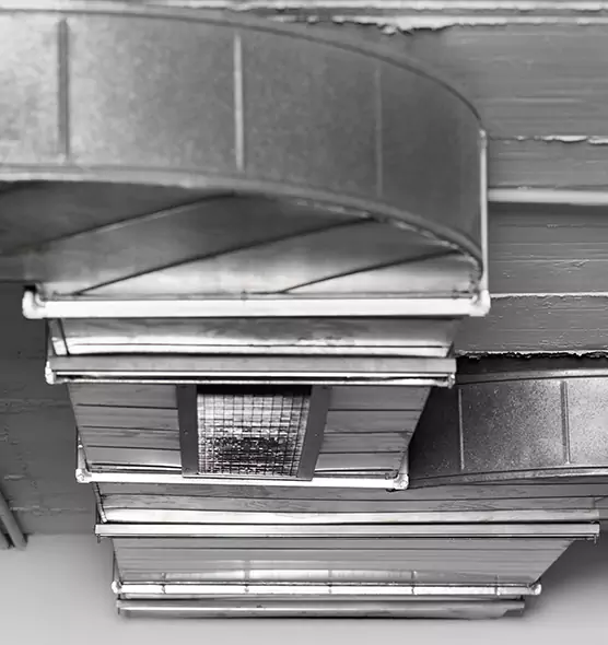 Professional Air Duct Pest Removal in Winter Garden, FL