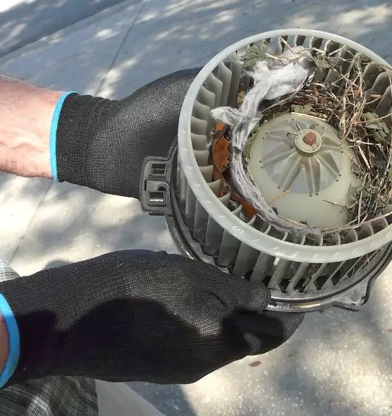 About Air Duct Rat Removal in Winter Garden, FL