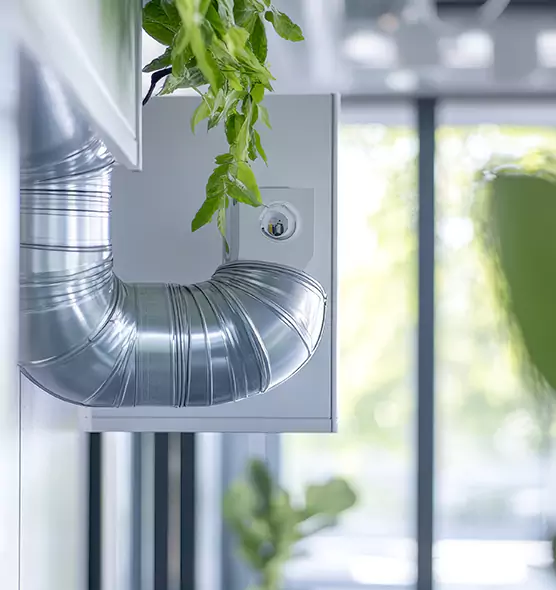 Professional Eco-Friendly Duct Cleaning Services in Winter Garden, FL