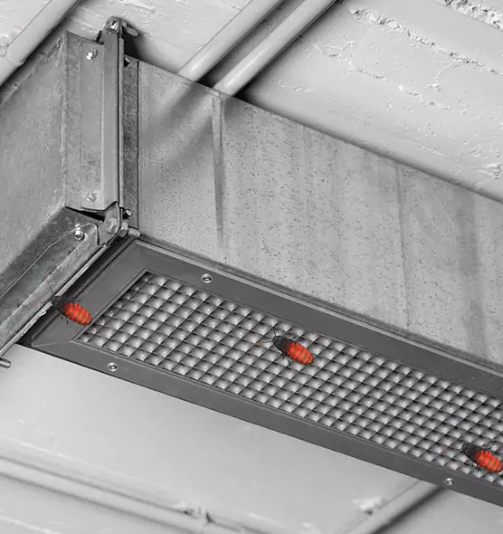 Affordable Insect Removal from Air Ducts in Winter Garden, FL