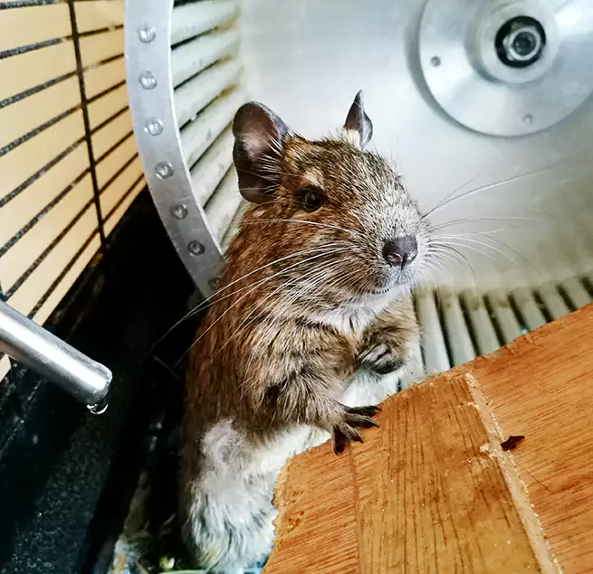 Why Homeowners & Businesses Trust Us Winter Garden, FL