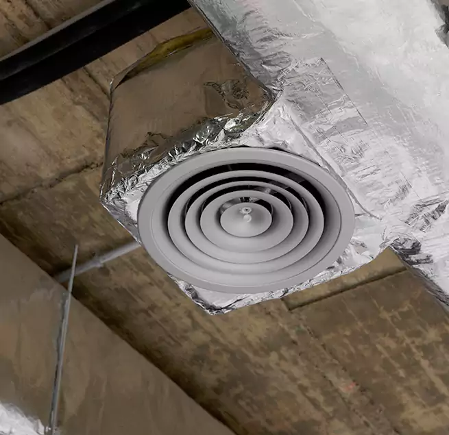 Why Homeowners & Businesses Trust Us in Winter Garden, FL