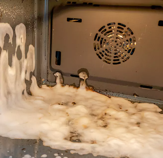 Why Homeowners & Businesses Trust Us in Winter Garden, FL?