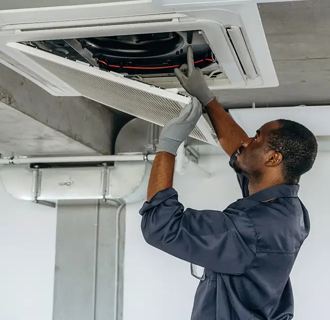 Why Homeowners & Businesses Trust Us in Winter Garden, FL?