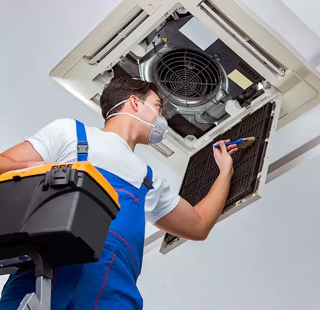 Why Homeowners & Businesses Trust Us in Winter Garden, FL?