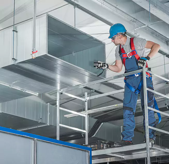 Why Homeowners & Businesses Trust Us Winter Garden, FL