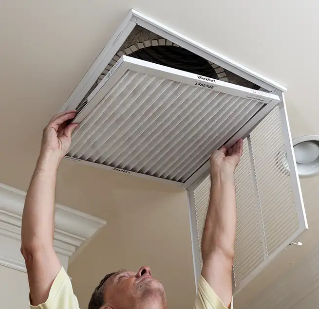 Why Homeowners & Businesses Trust Us in Winter Garden, FL?