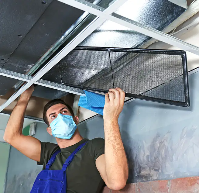 Why Homeowners & Businesses Trust Us in Winter Garden, FL?