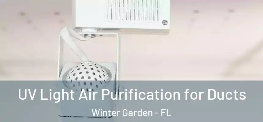  UV Light Air Purification for Ducts Winter Garden - FL