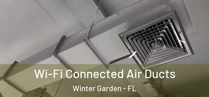  Wi-Fi Connected Air Ducts Winter Garden - FL